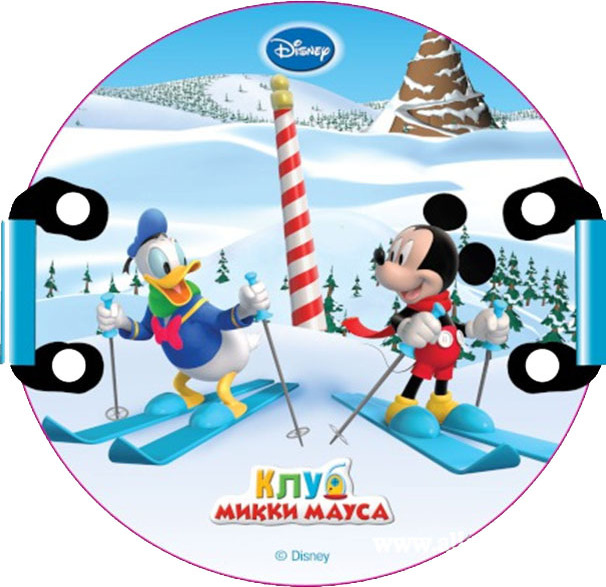 Ледянка 1TOY Т55257 Disney